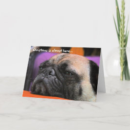 いけないパグのクリスマスカード シーズンカード