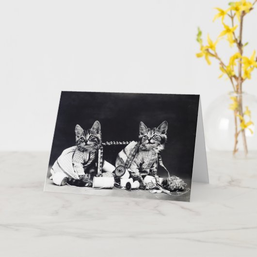 いけない子ネコのメッセージカード カード (黄色い花)