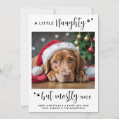 いけなおもしろいパーソナライズされた可愛い犬のペット写真 シーズンカード (正面)