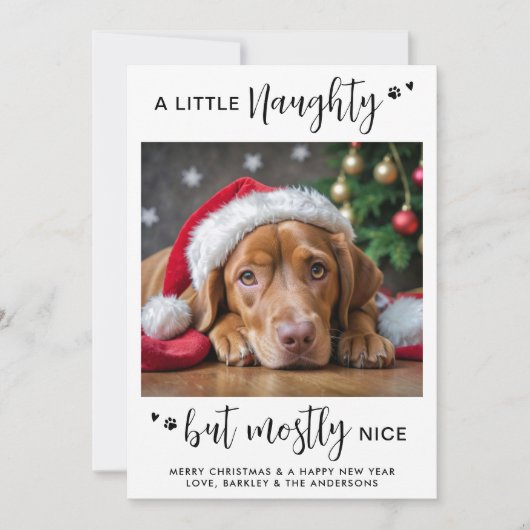 いけなおもしろいパーソナライズされた可愛い犬のペット写真 シーズンカード (正面)