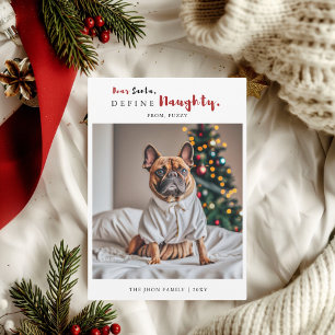 いけなおもしろい犬写真の書道クリスマス シーズンカード