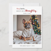 いけなおもしろい犬写真の書道クリスマス シーズンカード (正面)