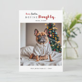いけなおもしろい犬写真の書道クリスマス シーズンカード (スタンド正面)