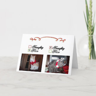 いけなく、ニース シーズンカード