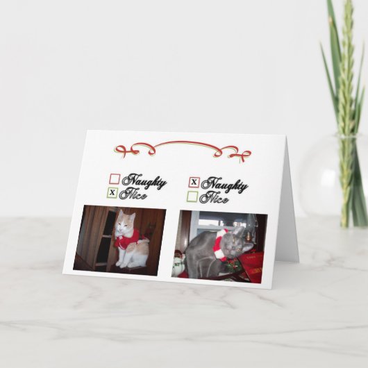 いけなく、ニース シーズンカード (正面)