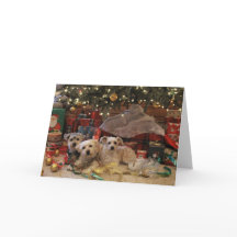 いけなく、素晴らしい子犬