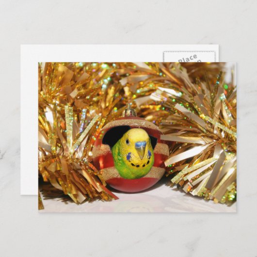 いけなクリスマス シーズンポストカード (正面/裏面)