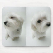 いけな子犬 マウスパッド (正面)