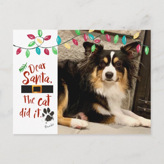 いけな親愛おもしろいDog Santa Letter Photo Dog Name シーズンポストカード (正面)