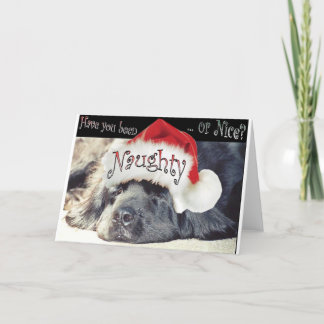 いけな シーズンカード