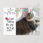 いけなCatおもしろい親愛 Santa Letter Photo Cat Name シーズンポストカード<br><div class="desc">猫ユーモアのあるの写真「サンタ、犬がやった」の写真が載った「猫の写親愛真」の挨拶文。（本当に）」という名前の猫がサインしました。背面には、編集可能なMEOY EVERYTHING応答と、個人用文字を追加する場所があります。また、手書きの応答やメッセージを表示する領域に、サン離れプルメッ空白のセージを削除することもできます。 
写真のヒント： 最速または最最高の速の結果を得るには、アップロード前に示すように、中央に件名が入った写真を選択するか、またはプリクロップして同じ形状にします。写真は完全に提供された写真宇宙に収まります。デザ連絡もしイナでこのデザインを変更するか、別の製品で変更します。</div>