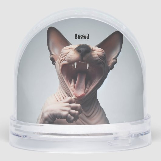 いけなSphynx Christmas Cat Snow Globe (裏面)