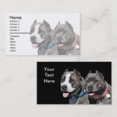 いじめっ子の品種ピットブル犬動物 名刺 (正面/裏面)
