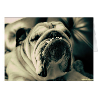 いじめっ子の歯