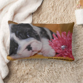 いじめっ子愛ブルドッグの枕 ランバークッション (ブランケット)