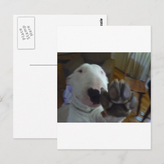 いじめっ子 ポストカード (正面/裏面)