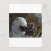 いじめっ子 ポストカード (正面)