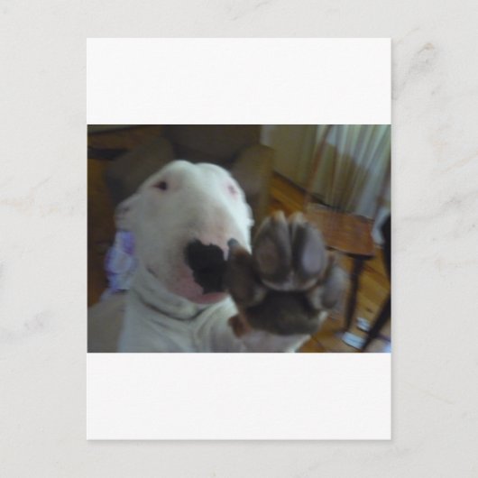 いじめっ子 ポストカード (正面)