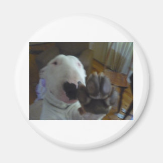 いじめっ子 マグネット