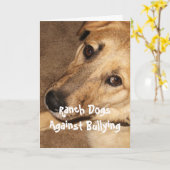 いじめに対する犬の牧場 – カウボーイ子育て カード (黄色い花)