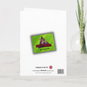 いたずおもしろいらがあなたの名前でラマを寄贈した シーズンカード (裏面)