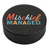 いたずらが管理した アイスホッケーパック (3/4)