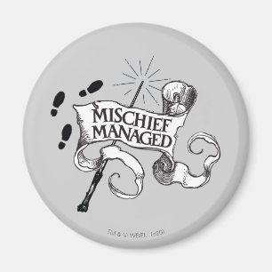 いたずらが管理した マグネット