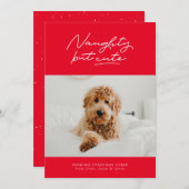 いたずらだけどかわいい面白いホリデー写真カード シーズンカード (正面/裏面)