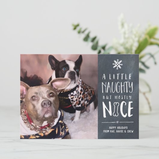 いたずらっ子だけど、素敵なペット | ペット写真のホリデーカード シーズンカード (スタンド正面)