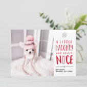 いたずらっ子だけど、素敵なペット | ペット写真のホリデーカード シーズンカード (スタンド正面)