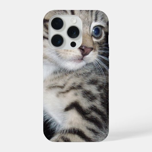 "いたずらっ子のひげ: いたずらなトラ柄の子猫" iPhoneケース (裏面)