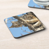 いたずらなヤギュール コースター (左側)