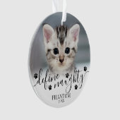 いたずらな猫の写真　クリスマス オーナメント (正面)