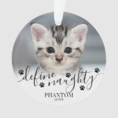 いたずらな猫の写真　クリスマス オーナメント (正面)