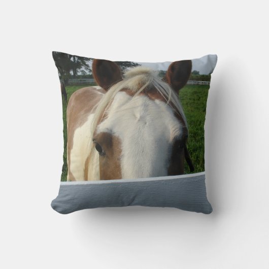 いたずらな馬の枕 クッション (正面)
