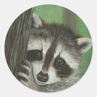 いたずらアライグマの木のステッカー ラウンドシール