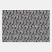 いたずらアライグマ ラッピングペーパーシート (正面2)