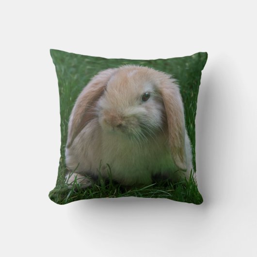 いたずらウサギの枕 クッション (正面)