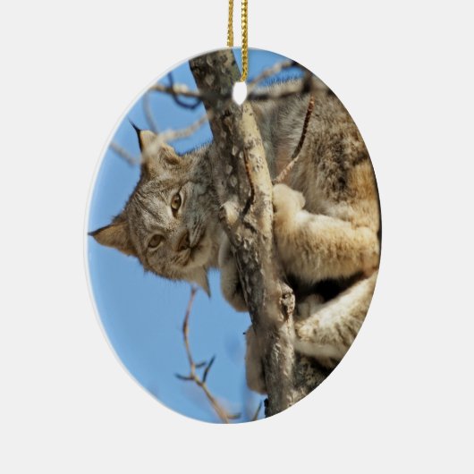 いたずらオオヤマネコ セラミックオーナメント (右)