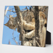 いたずらオオヤマネコ フォトプラーク (側面)
