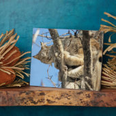 いたずらオオヤマネコ フォトプラーク (側面)