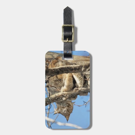 いたずらオオヤマネコ ラゲッジタグ (正面縦)