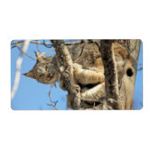 いたずらオオヤマネコ ラベル (正面)