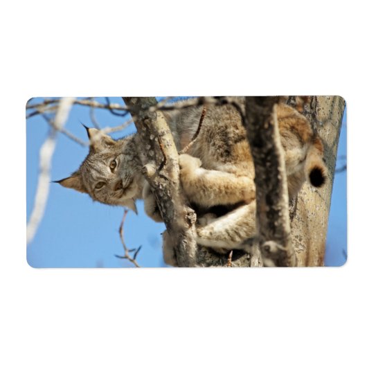 いたずらオオヤマネコ ラベル (正面)