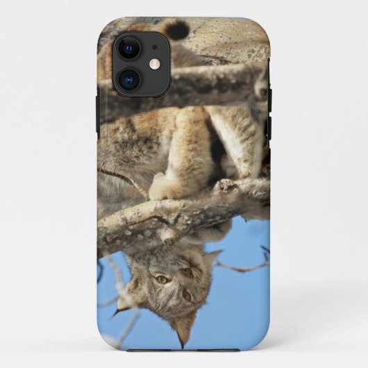 いたずらオオヤマネコ Case-Mate iPhoneケース (裏面)