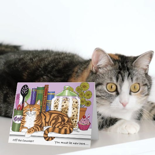 いたずらオレンジタビー猫のキッチンカウンター カード