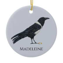 いたずらカラスとリングや輪