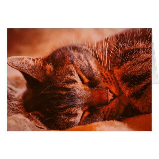 いたずらフリー (正面横)