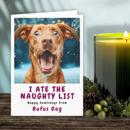 いたずらリストの犬のクリスマスフォト シーズンカード