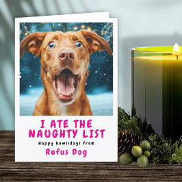 いたずらリストの犬のクリスマス写真 シーズンカード